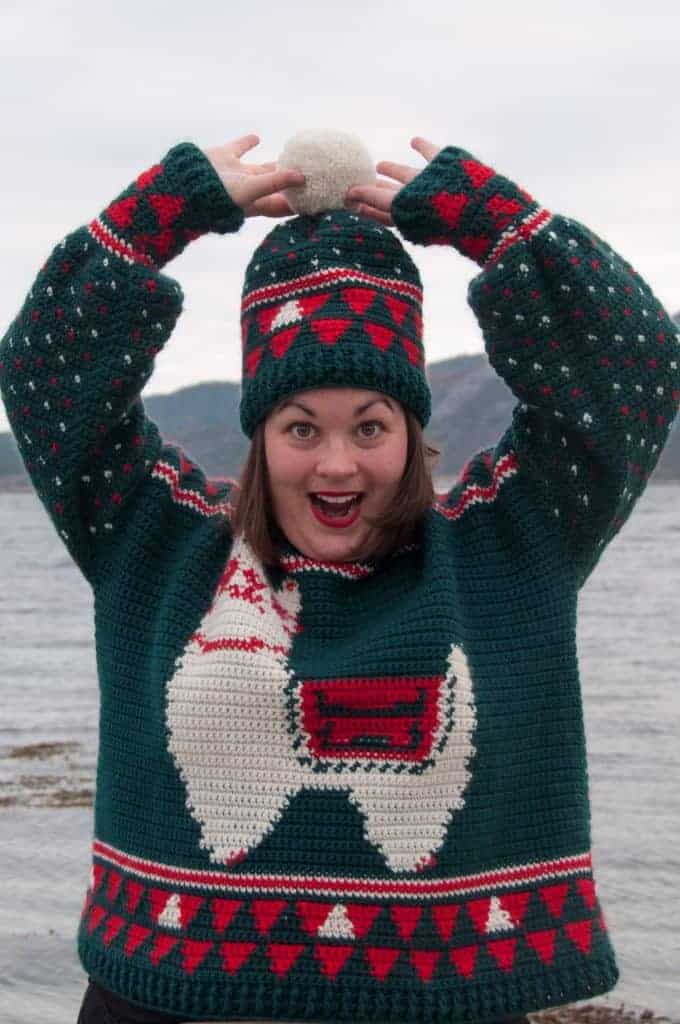 crochet my christmas hat, free crochet pattern for a beanie, beanie crochet pattern for Christmas