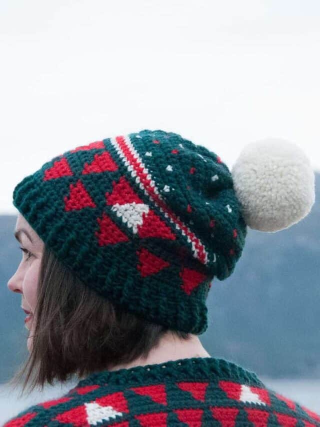 crochet my christmas hat, free crochet pattern for a beanie, beanie crochet pattern for Christmas