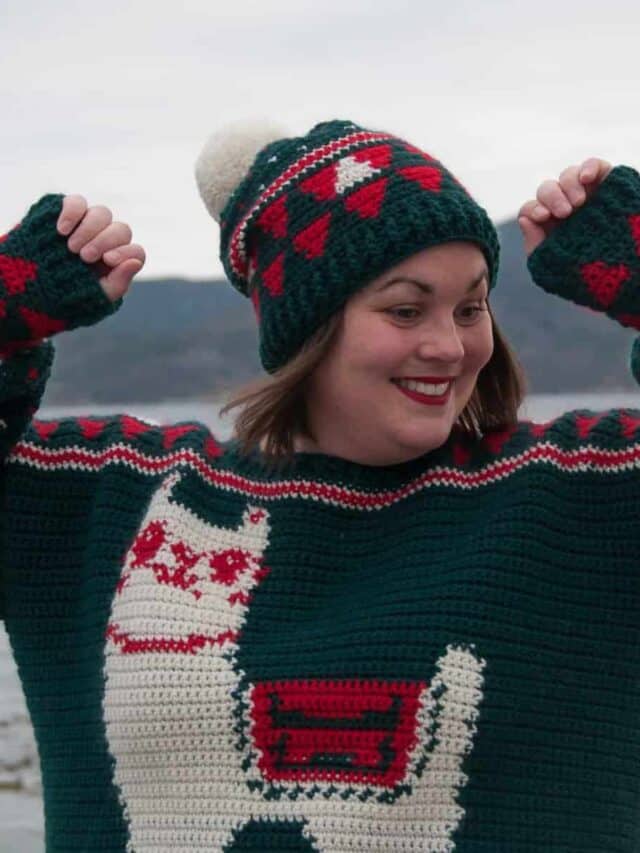 crochet my christmas hat, free crochet pattern for a beanie, beanie crochet pattern for Christmas