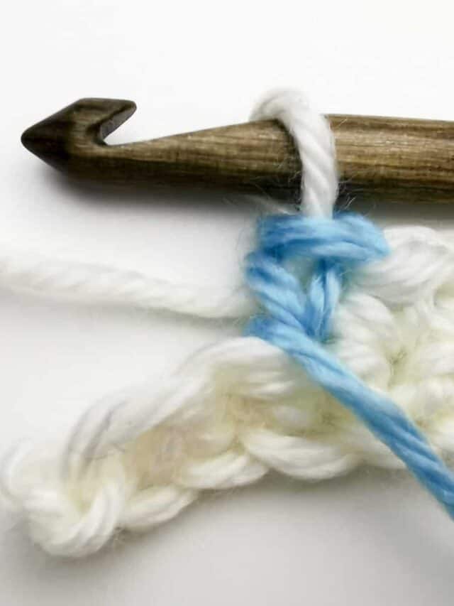 cropped-basics-of-tapestry-crochet-free-crochet-tutorial-4.jpg