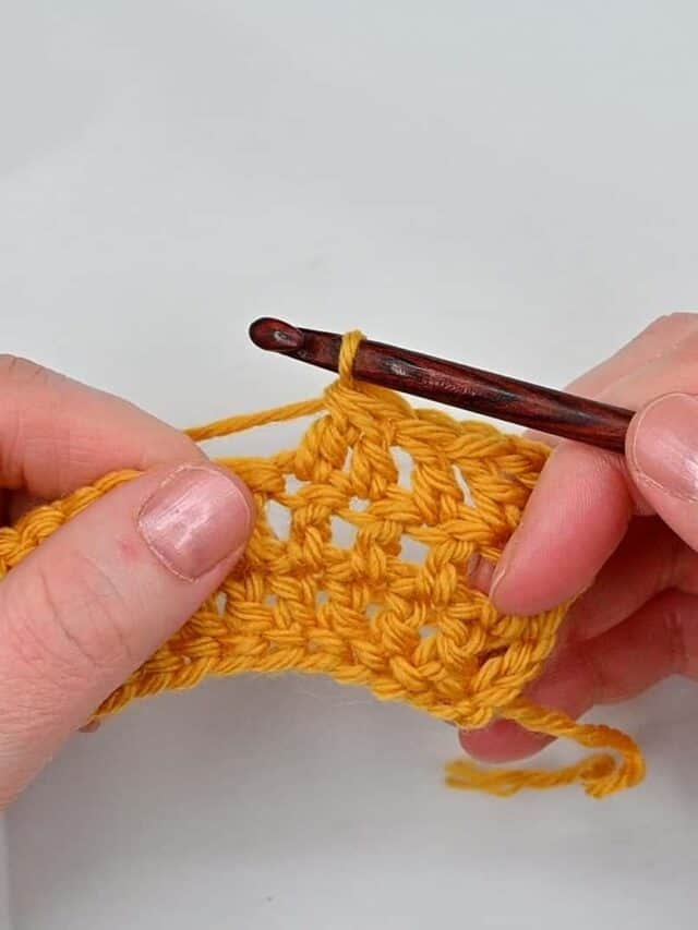 6+ Crochet Blanket Stitches