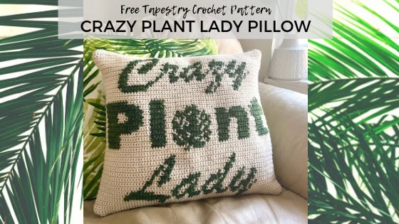 70+ Crochet Pillow Patterns