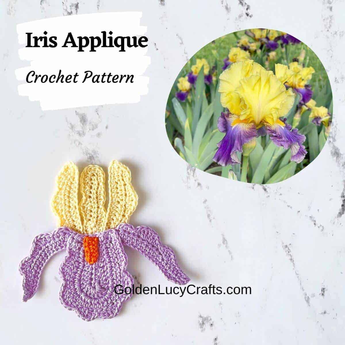 25+ Crochet Applique Patterns