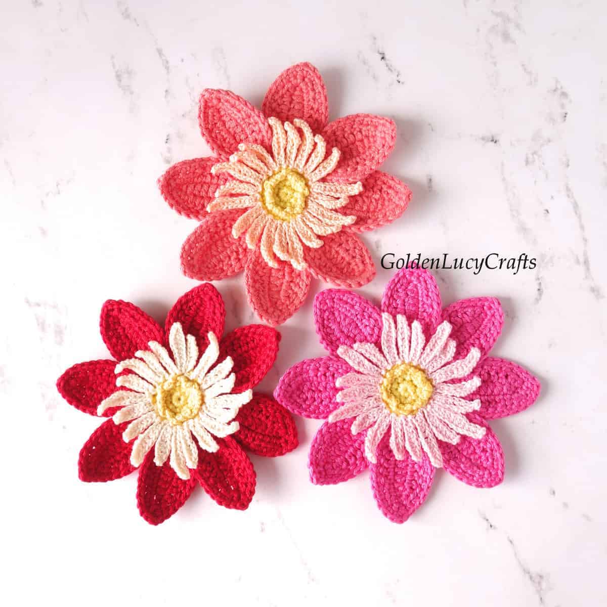 25+ Crochet Applique Patterns