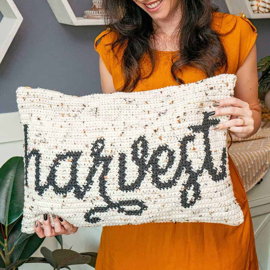 70+ Crochet Pillow Patterns