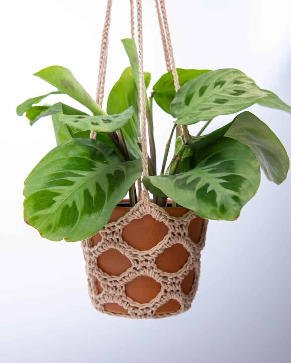 70+ Teacher Gift Crochet Patterns